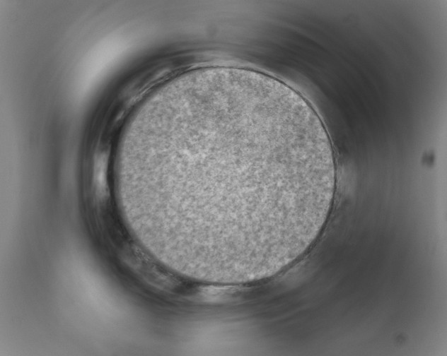 X0000111131150200907211108
