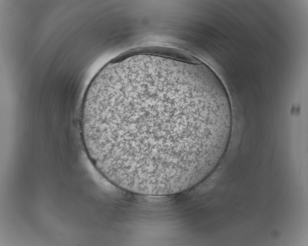 X0000111131152200907211108