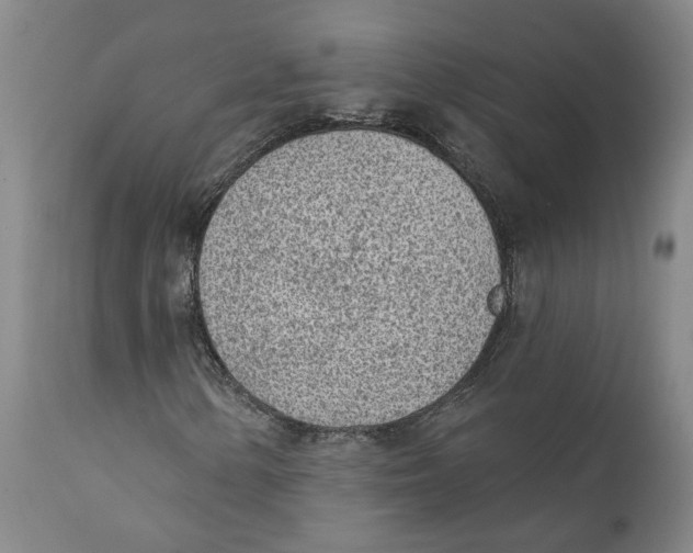 X0000111131154200907211107