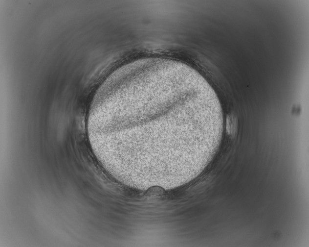X0000111131155200907211107
