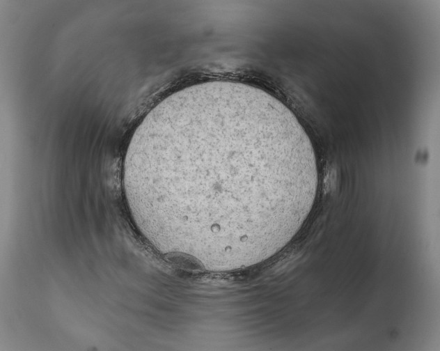 X0000111131156200907211107