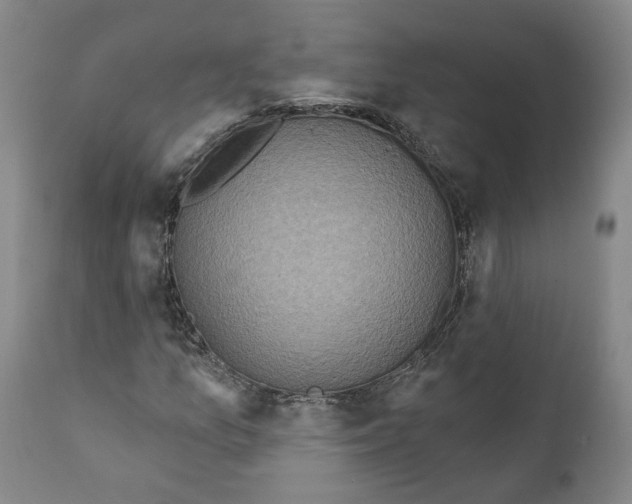 X0000111131157200907211107