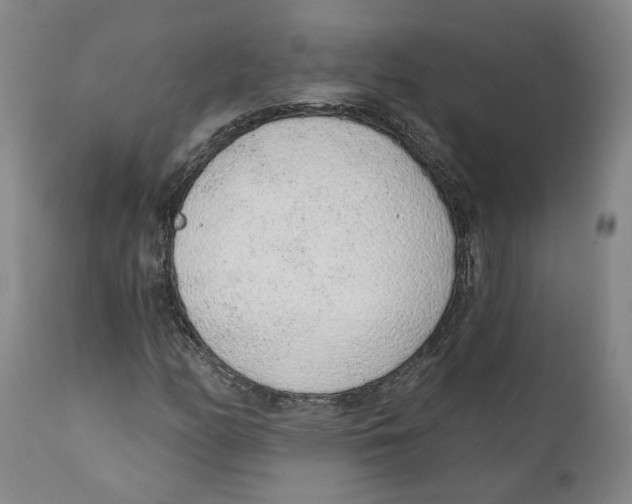 X0000111131158200907211107