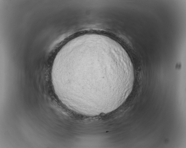 X0000111131159200907211107