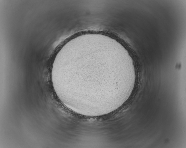 X0000111131160200907211107