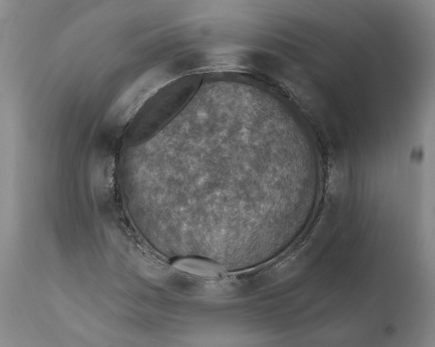 X0000111131161200907211107