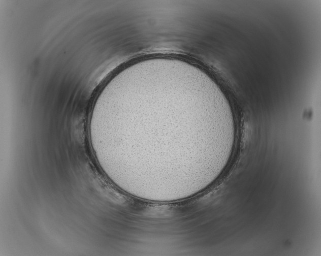 X0000111131162200907211107