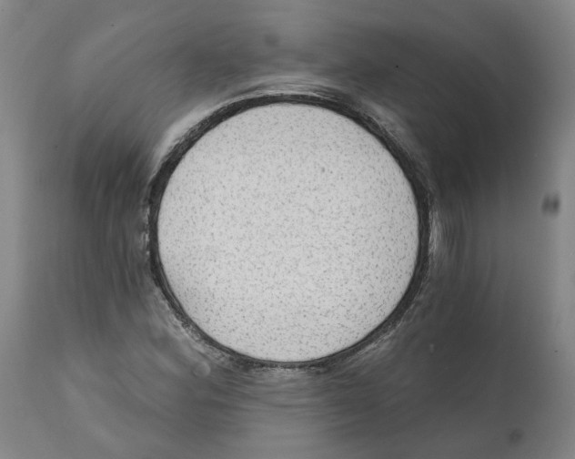 X0000111131164200907211107