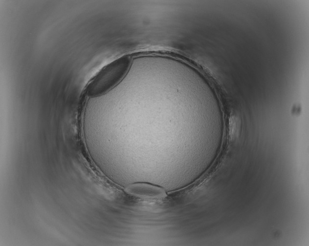 X0000111131165200907211107