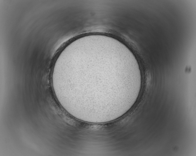 X0000111131166200907211107