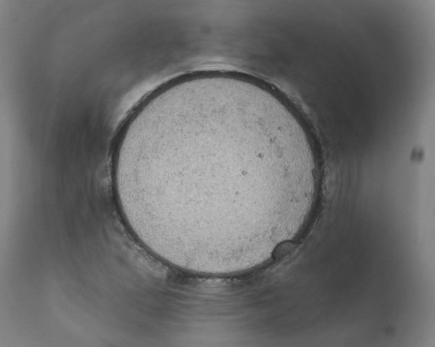X0000111131167200907211107