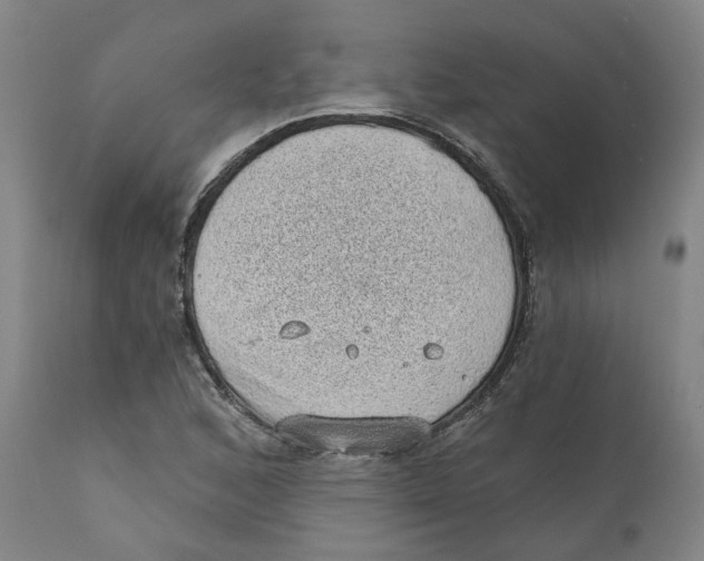 X0000111131168200907211107
