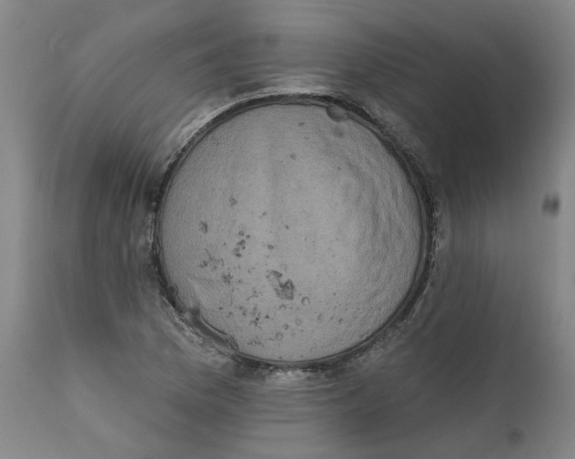 X0000111131169200907211107