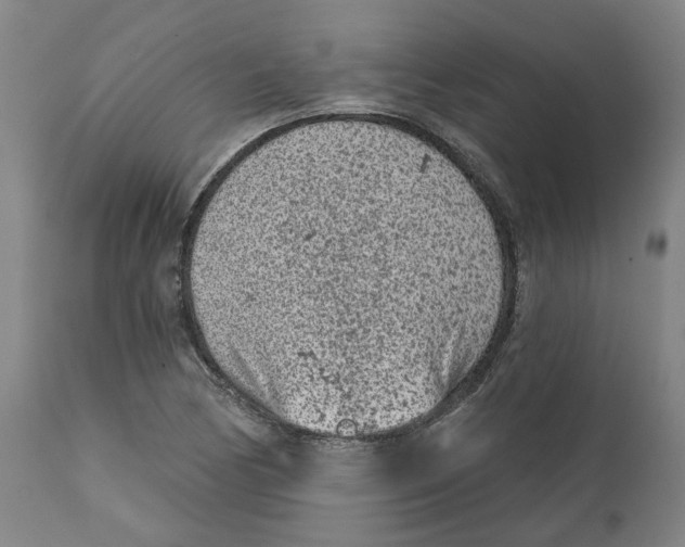 X0000111131170200907211107