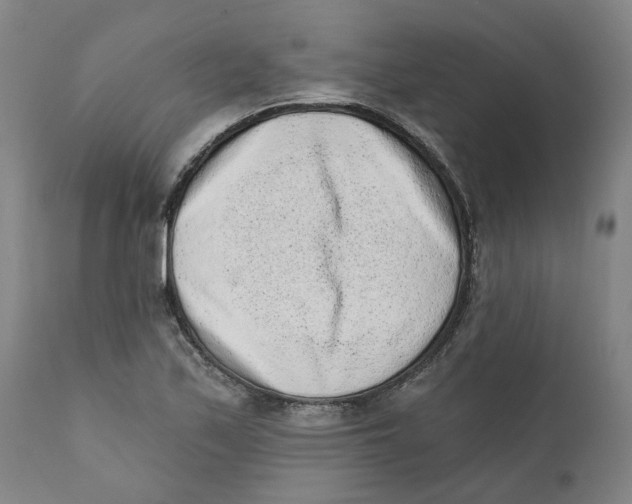 X0000111131171200907211107