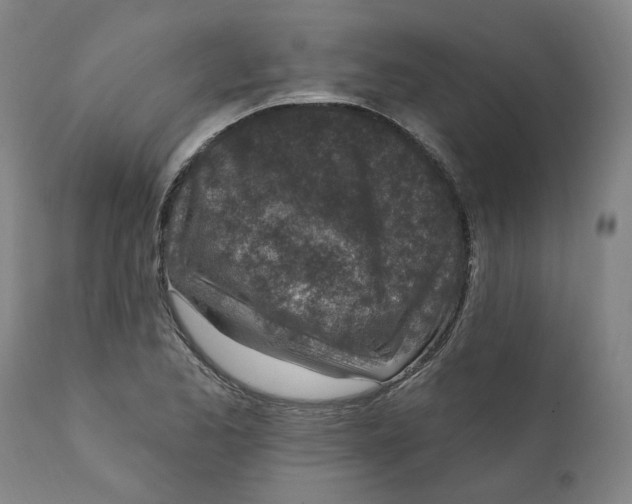 X0000111131173200907211107