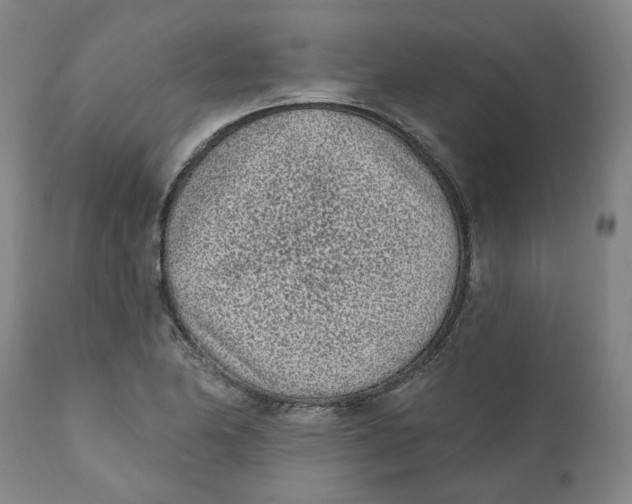 X0000111131174200907211106