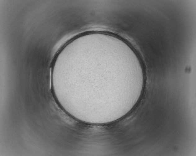 X0000111131175200907211106