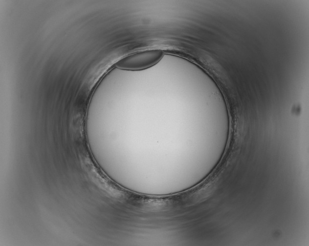 X0000111131177200907211106