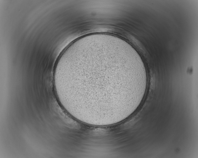 X0000111131178200907211106