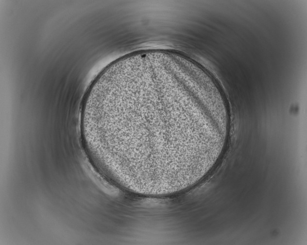 X0000111131179200907211106