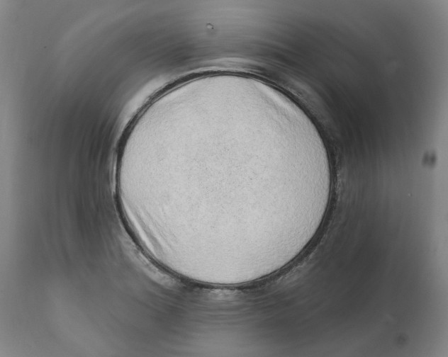 X0000111131180200907211106