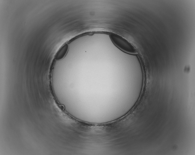 X0000111131181200907211106
