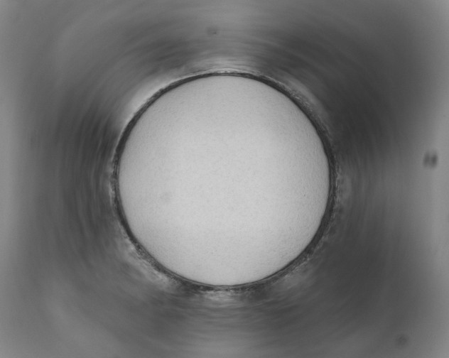 X0000111131182200907211106