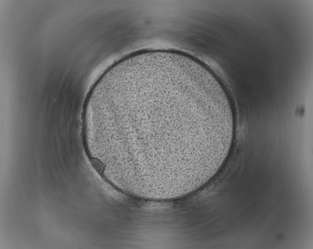 X0000111131183200907211106