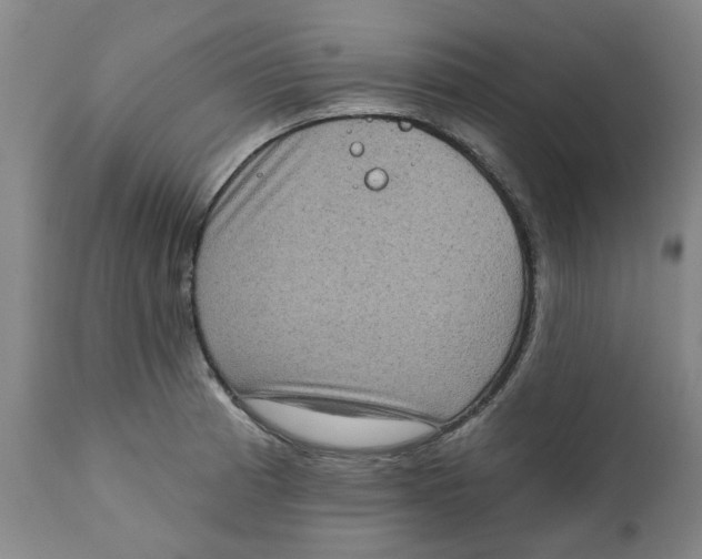X0000111131185200907211106