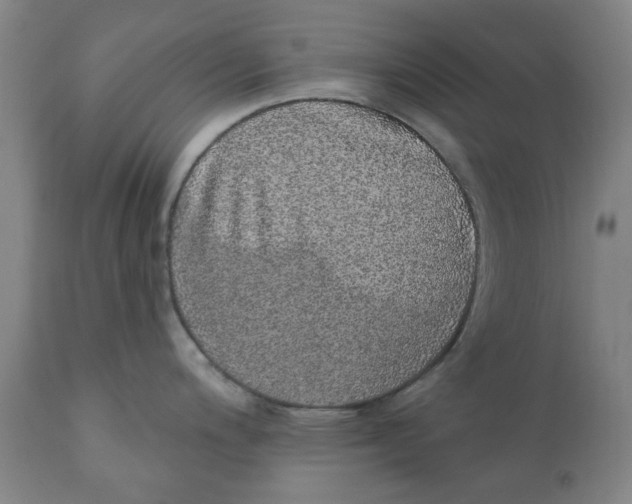 X0000111131200200907211106