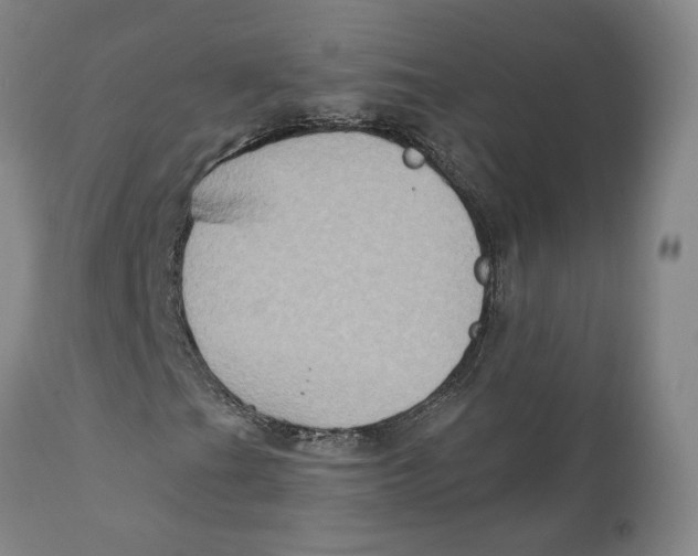 X0000111131201200907211105