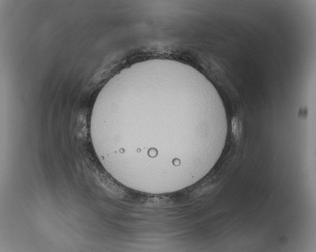 X0000111131203200907211106