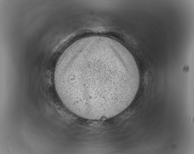 X0000111131205200907211106