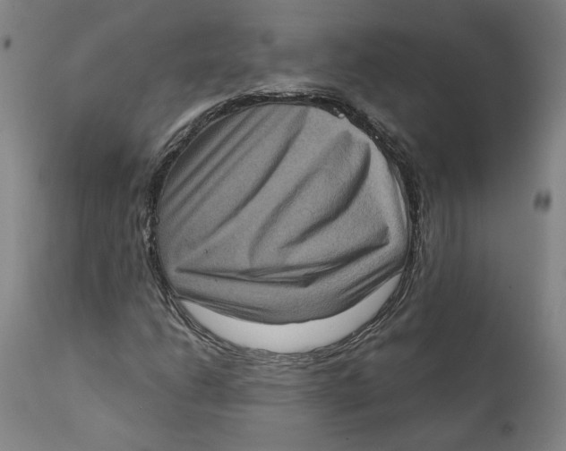 X0000111131206200907211106
