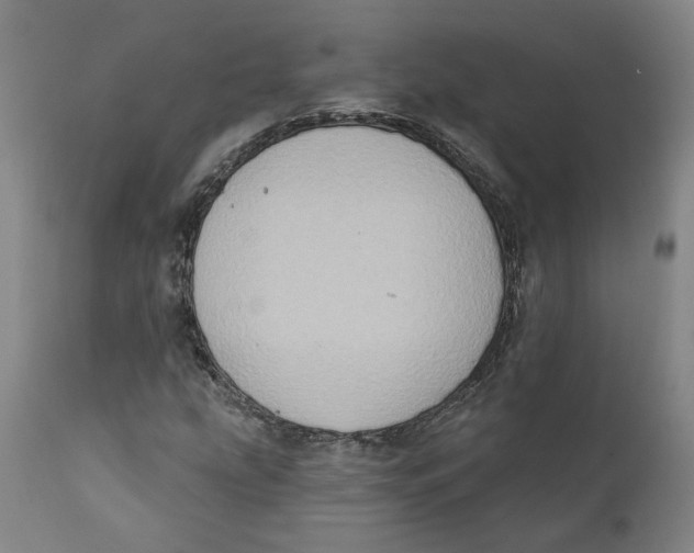 X0000111131207200907211106