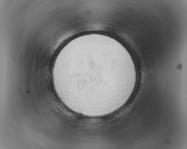 X0000111131210200907211106