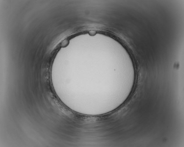 X0000111131211200907211106