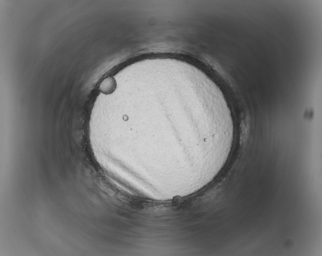 X0000111131213200907211106