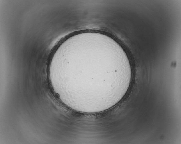 X0000111131214200907211106
