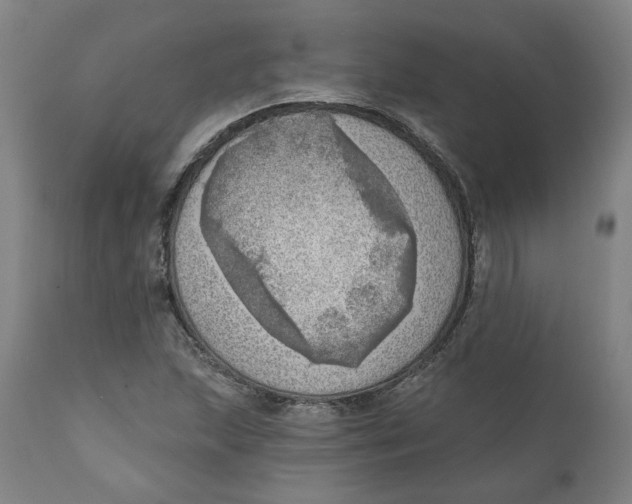 X0000111131215200907211106