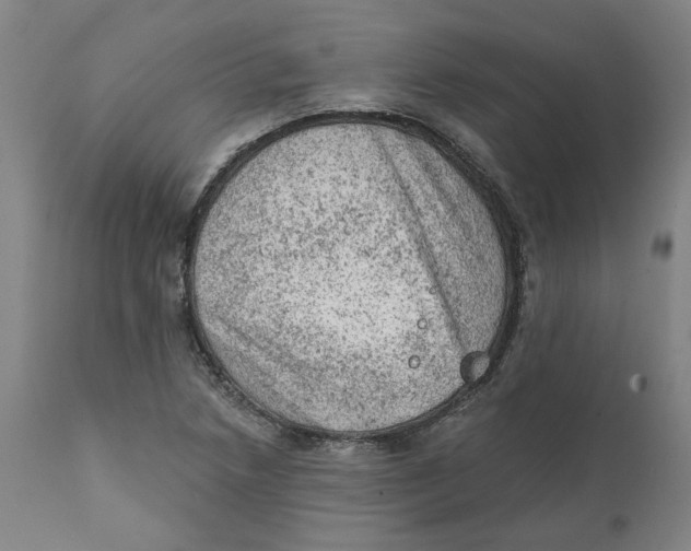 X0000111131218200907211106