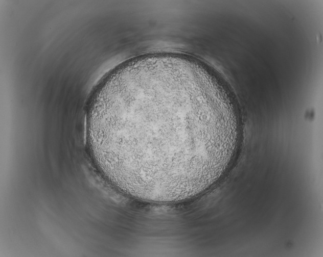 X0000111131219200907211106