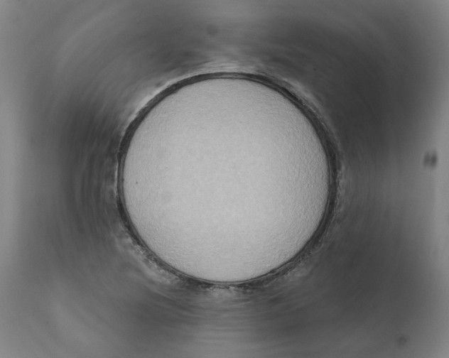 X0000111131220200907211106