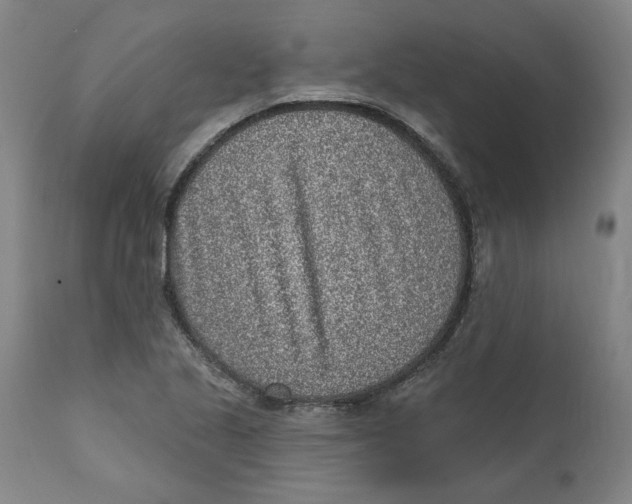 X0000111131221200907211106