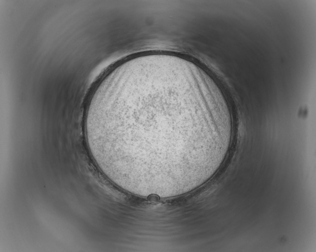 X0000111131222200907211106