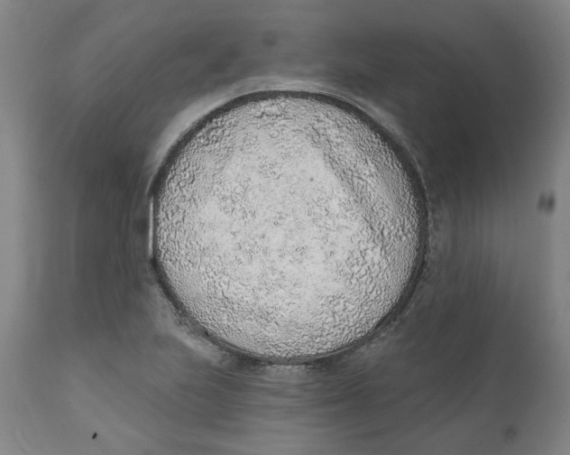 X0000111131223200907211106