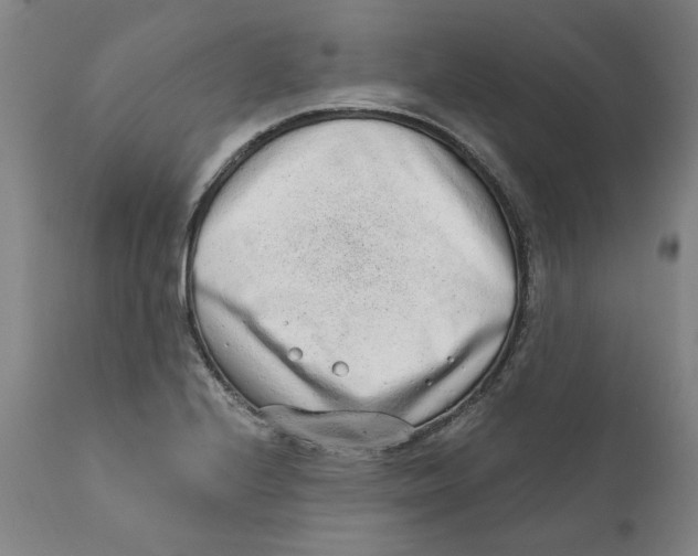X0000111131224200907211106