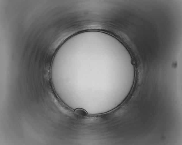X0000111131225200907211106