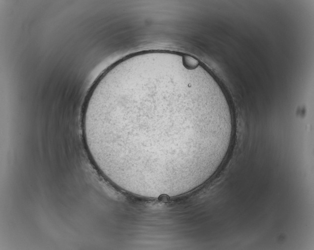 X0000111131230200907211106